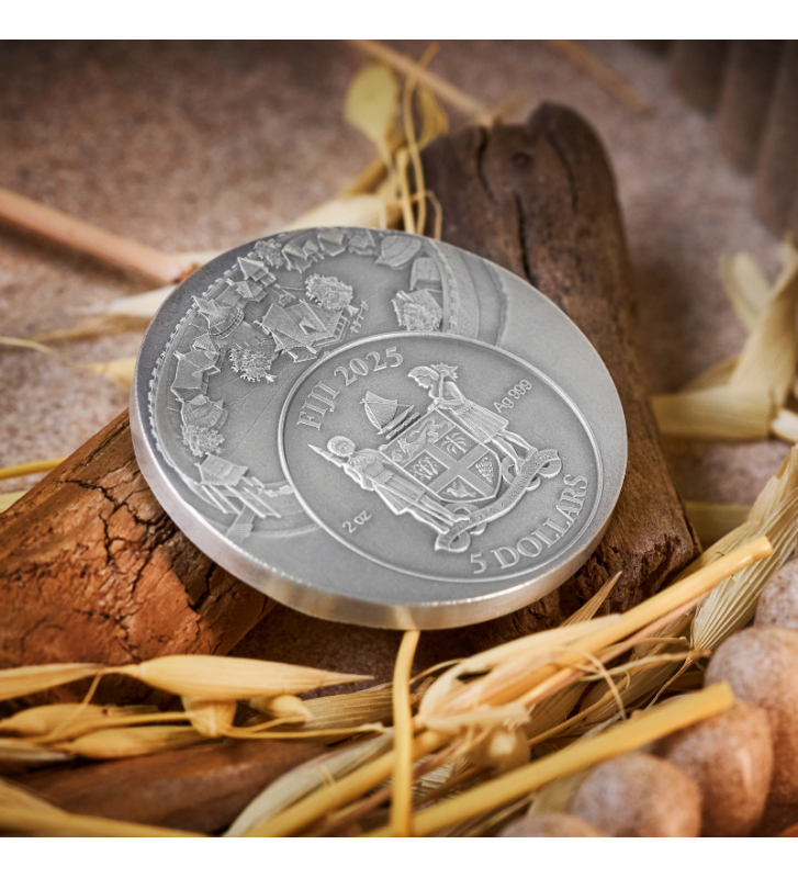 kajko-i-kokosz-woje-mirmila (5)